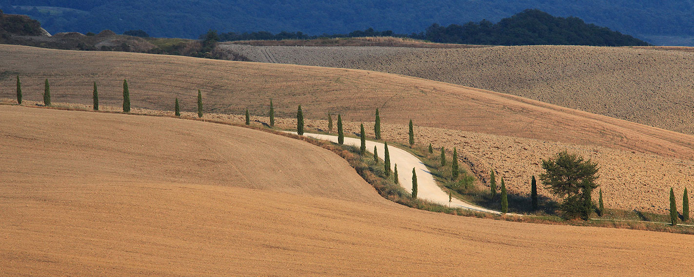 Agriturismo Cacciamici