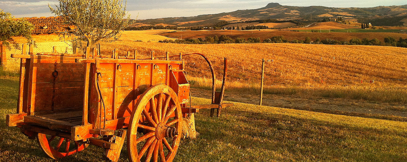 Agriturismo Cacciamici