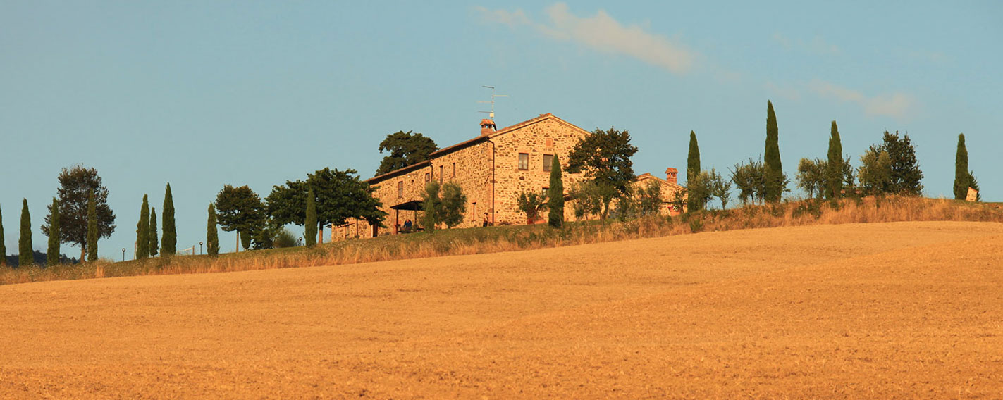 Agriturismo Cacciamici